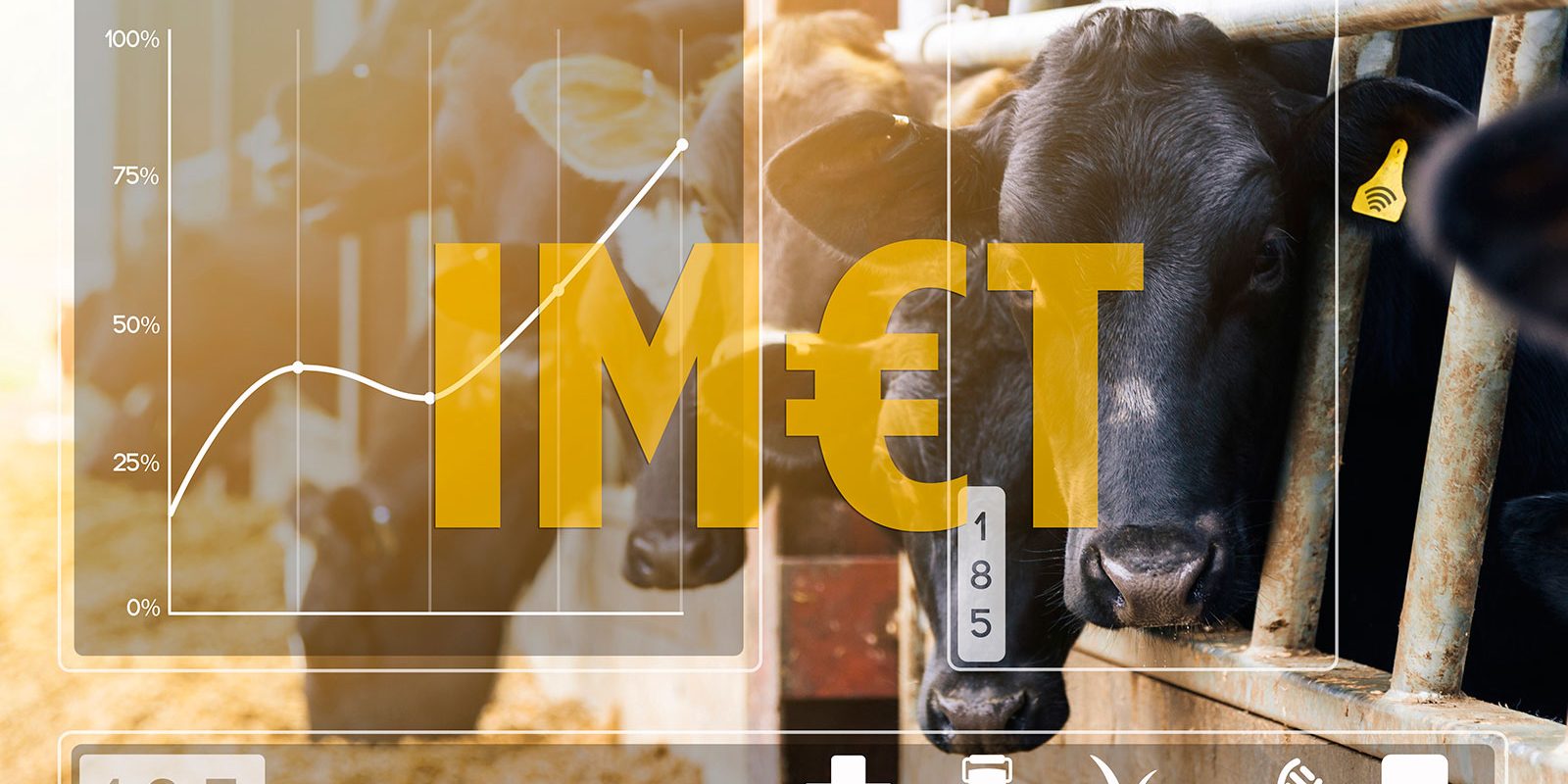 NUEVOS_INDICES_IMET_FOTO