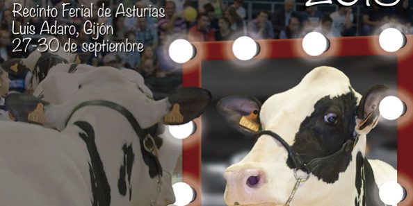 noticia_7_2