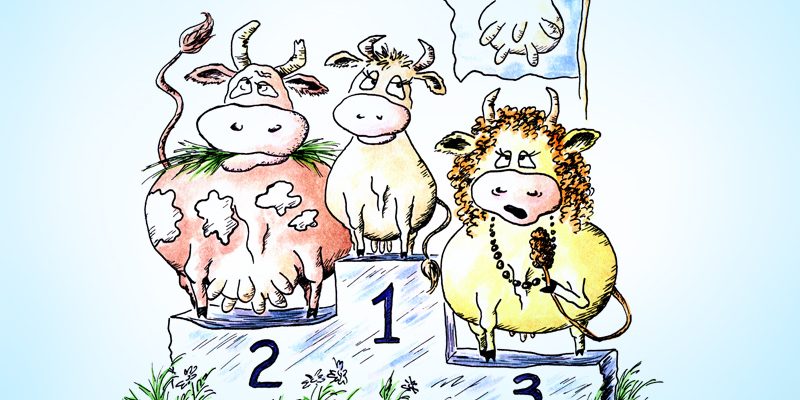 titular_desafio-frisona