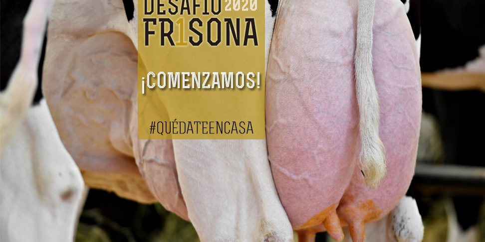 df20_noticiaweb