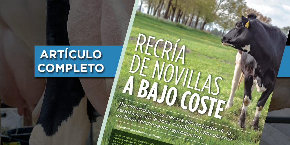 ARTICULORECRIA_DESTAC