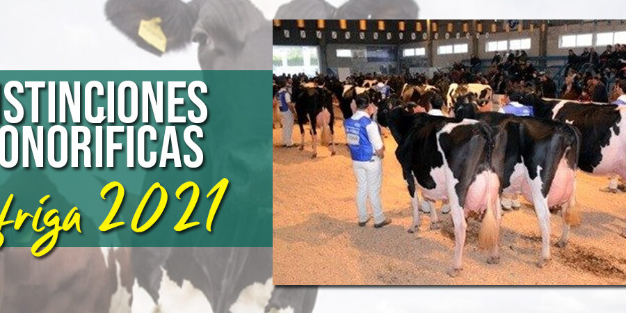 distinciones_fefriga2021_destac