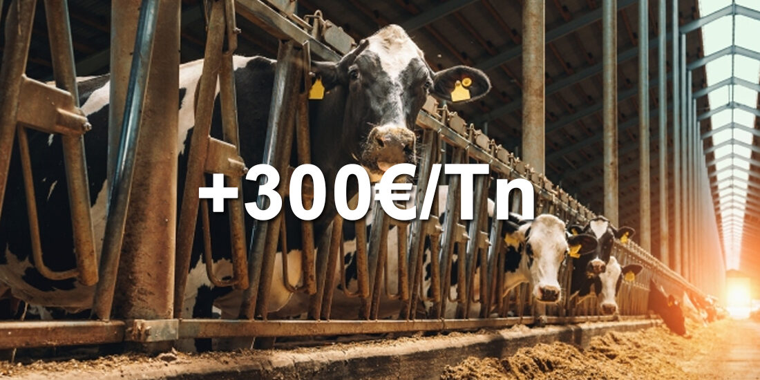pienso300_destac