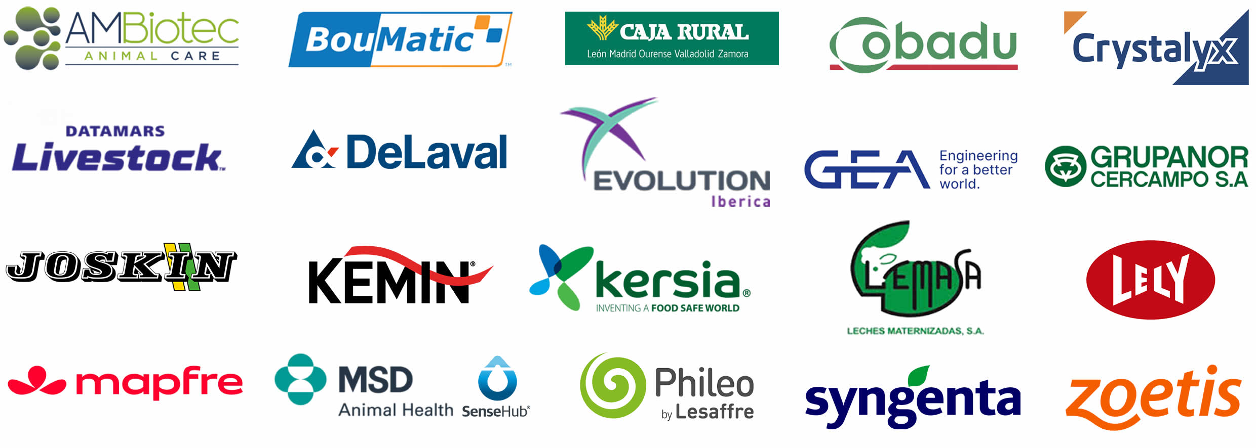 Patrocinadores_DF2025_26_opt