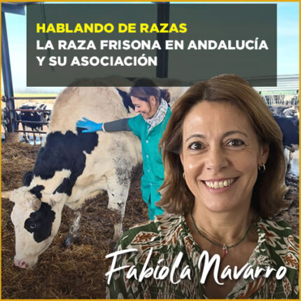 fabiolanavarro_DF