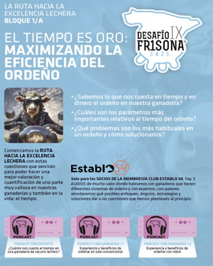 portada_TIEMPOESORO_opt