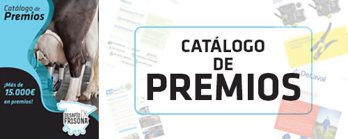 BANNER_CATALOGOPREMIOS_DFIX_web_opt